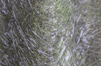 Kirkby Underwood fibreglass roof work